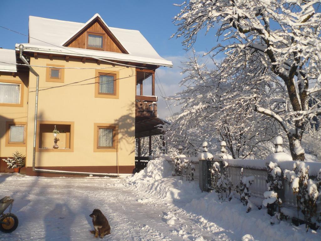 ホテル Casa Irinuca サドバ エクステリア 写真
